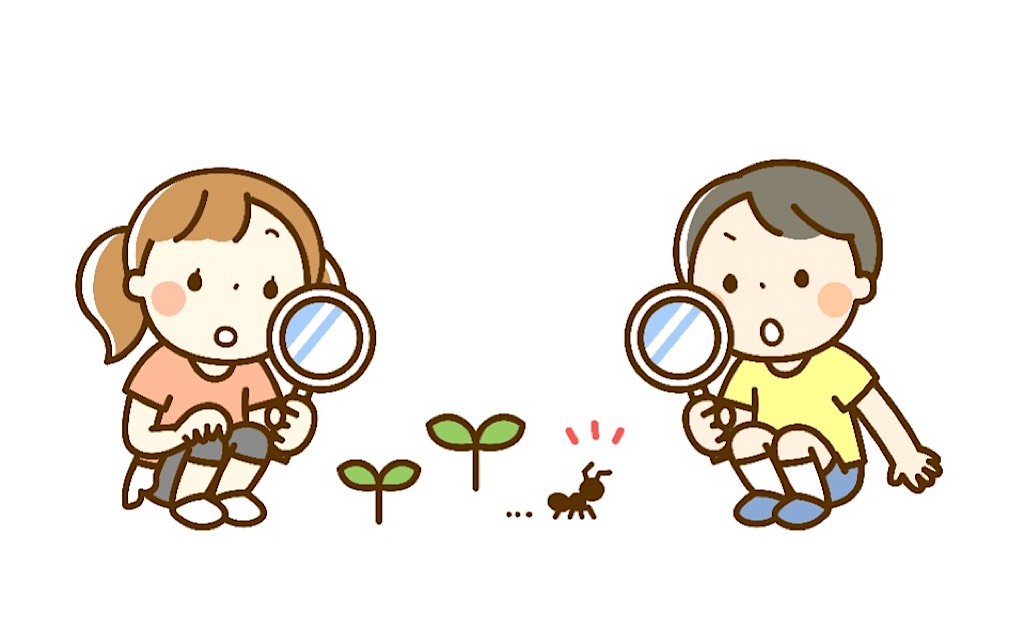 ランゲージシンカーとビジュアルシンカー 【理事　松原美和】