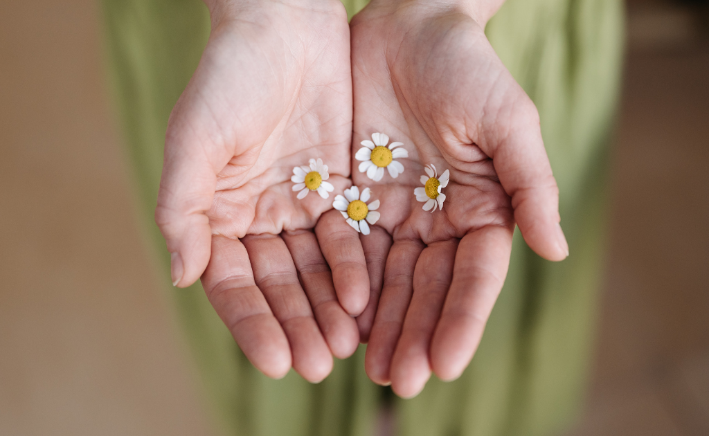 たった一言がくれた小さな自信【理事　田村えり】 