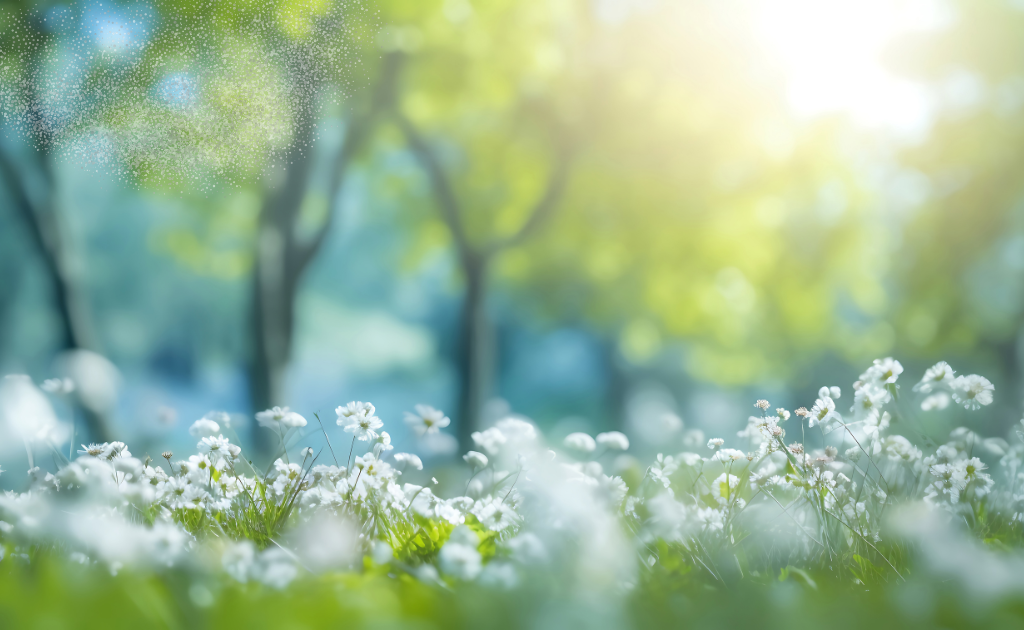 新年度が始まりましたね【代表理事 村尾リエ】